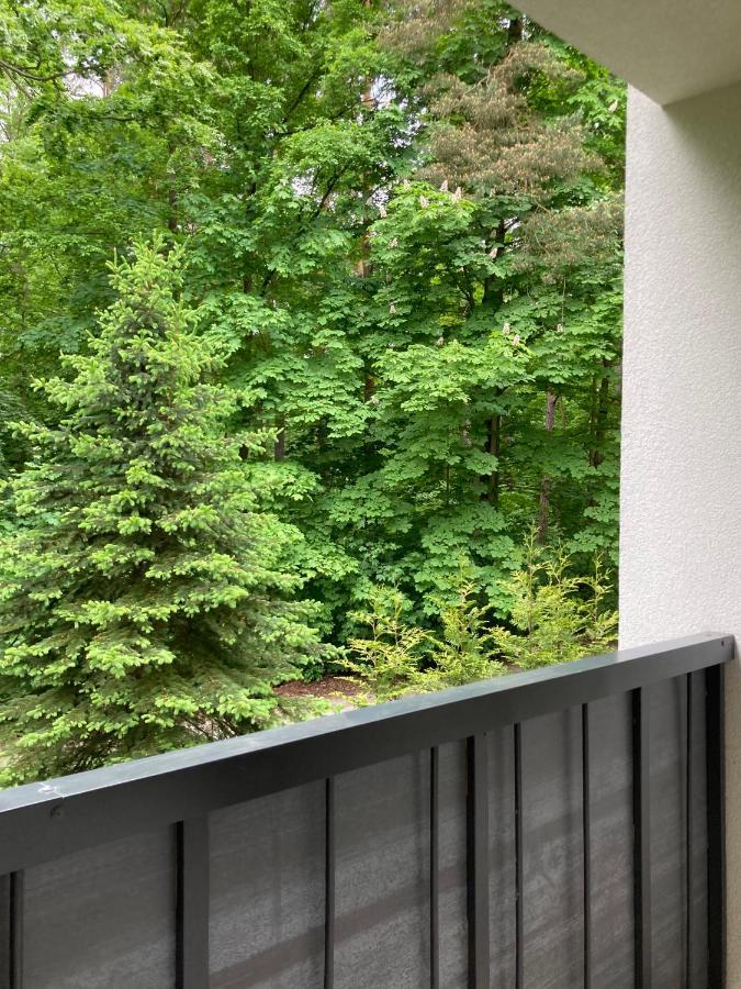 Apartament 221 Przy Niedzwiadku Polanica-Zdroj Dış mekan fotoğraf